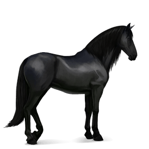 jezdecký kůň tmavý hnědák tobiano