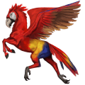 divoký kůň papoušek