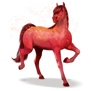 duhový kůň charming red