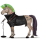 jezdecký kůň argentinský kreolský kůň tmavý hnědák