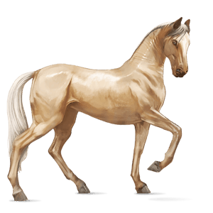 Camargský pony