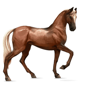 http://www.howrse.cz/media/equideo/image/chevaux/local/100044/normal.png?1106839470