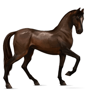 http://www.howrse.cz/media/equideo/image/chevaux/local/100045/normal.png?137722501