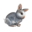 compagnon-lapin.png?345680197