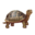 compagnon-tortue.png?2094481059