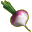 navet.png?1196797414