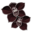 orchidee-noire.png?1117650034