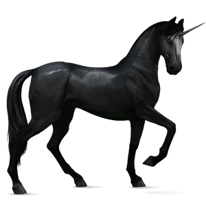 jezdecký jednorožec fríský kůň vraník
