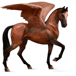 jezdecký pegas achaltekinský kůň tmavý hnědák