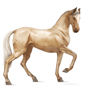jezdecký kůň quarter horse světlý ryzák