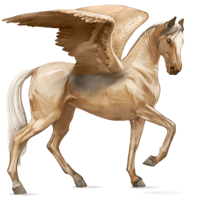 jezdecký pegas achaltekinský kůň hnědák