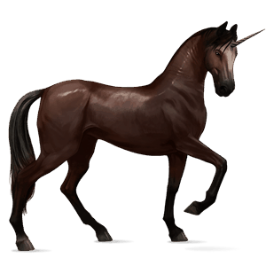 poníkorožec haflinger játrový ryzák