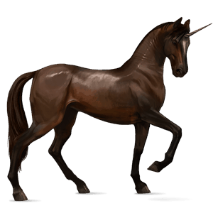 jezdecký jednorožec achaltekinský kůň Černý hnědák