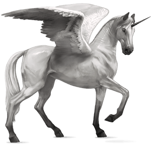 okřídlený jezdecký jednorožec quarter horse bělouš