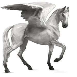 jezdecký pegas německý jezdecký pony hnědý bělouš