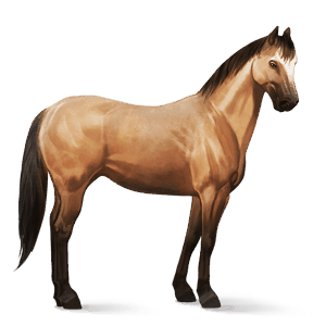 jezdecký kůň quarter horse plavák