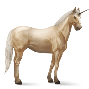 jezdecký jednorožec quarter horse tmavý hnědák