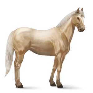 jezdecký kůň quarter horse světlý ryzák