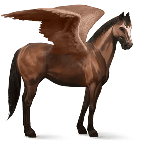 ponypegas haflinger světlý ryzák