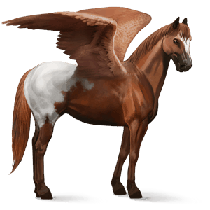 jezdecký pegas american paint horse ryzák overo