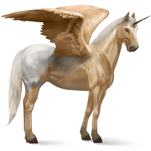 okřídlený jezdecký jednorožec andaluský kůň smíšený bělouš