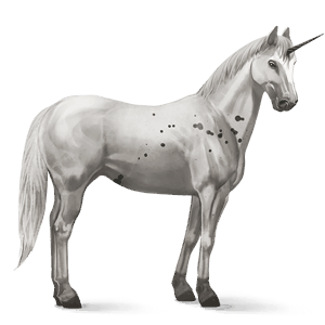 jezdecký jednorožec american paint horse Černý ryzák tobiano