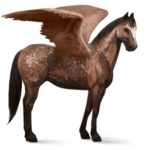 jezdecký pegas appaloosa bay snowflake