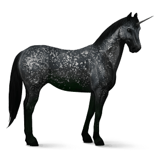 jezdecký jednorožec american paint horse hnědák tobiano