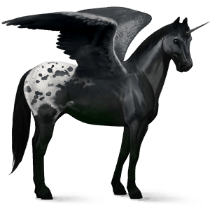 okřídlený jezdecký jednorožec american paint horse smíšený bělouš tobiano