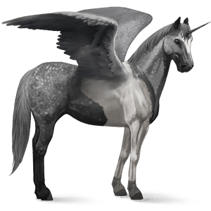 okřídlený jezdecký jednorožec american paint horse Černý ryzák tobiano