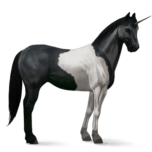 jezdecký jednorožec american paint horse vraník tobiano