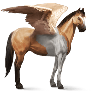 jezdecký pegas american paint horse plavák tobiano