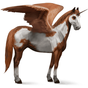okřídlený jezdecký jednorožec andaluský kůň tmavý hnědák