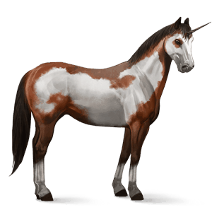 jezdecký jednorožec american paint horse hnědák overo