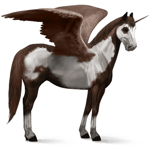 okřídlený jezdecký jednorožec american paint horse Černý ryzák overo