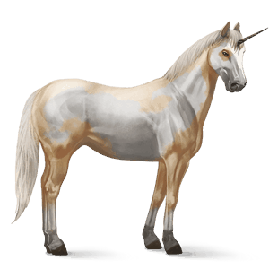 jezdecký jednorožec american paint horse hnědák tobiano