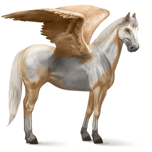 jezdecký pegas cremello