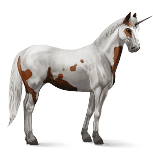 jezdecký jednorožec american paint horse ryzák overo