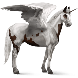 okřídlený jezdecký jednorožec american paint horse Černý hnědák tovero 