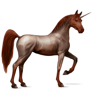 jezdecký jednorožec appaloosa sorrel snowflake