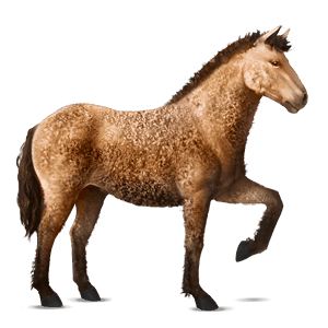 jezdecký kůň quarter horse světlý ryzák
