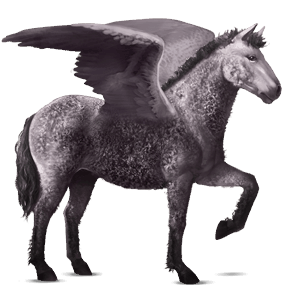 jezdecký pegas curly vraník
