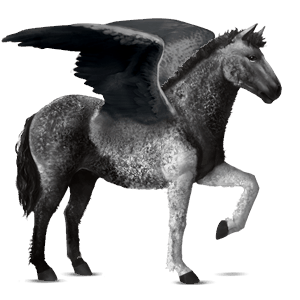 jezdecký pegas american paint horse Černý hnědák tobiano