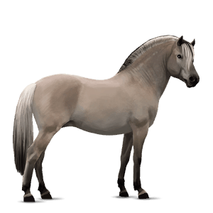 poník shetlandský pony hnědák