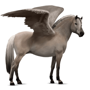 ponypegas fjordský kůň gra