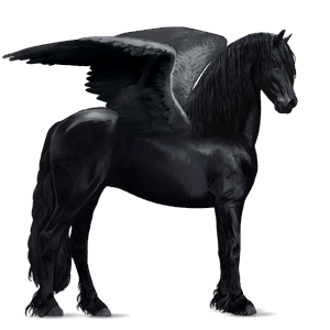 jezdecký pegas fríský kůň vraník