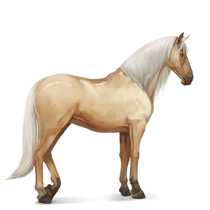 jezdecký kůň andaluský kůň palomino