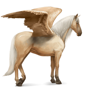 jezdecký pegas irský tinker palomino tobiano