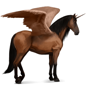 okřídlený jezdecký jednorožec quarter horse hnědák