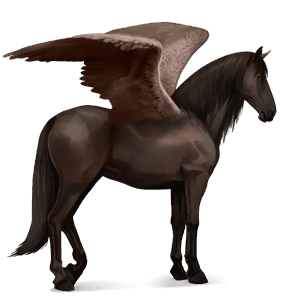 jezdecký pegas andaluský kůň smíšený bělouš